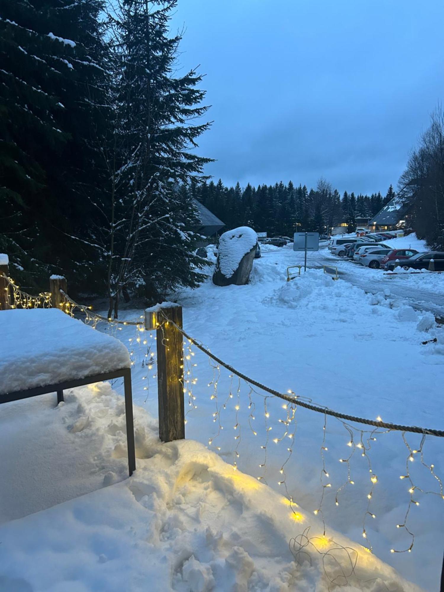 Horsky Chalet Harrachov Eksteriør bilde